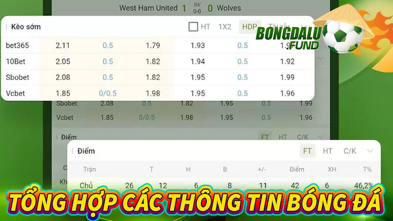 Tổng hợp các thông tin bóng đá