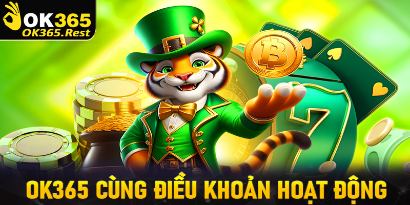 Đánh giá nhà cái OK365 về điều khoản hoạt động